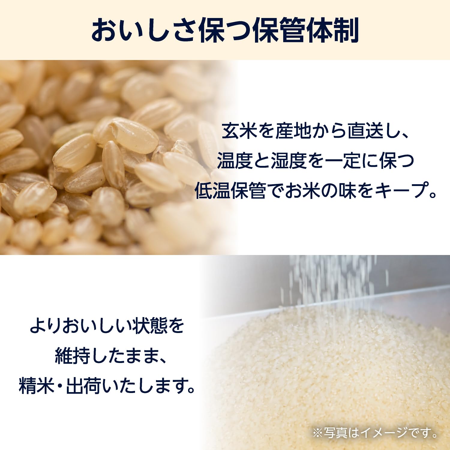 Amazon.co.jp: by Amazon 国産ブレンド米 精米 10kg（5kg×2袋） : 食品